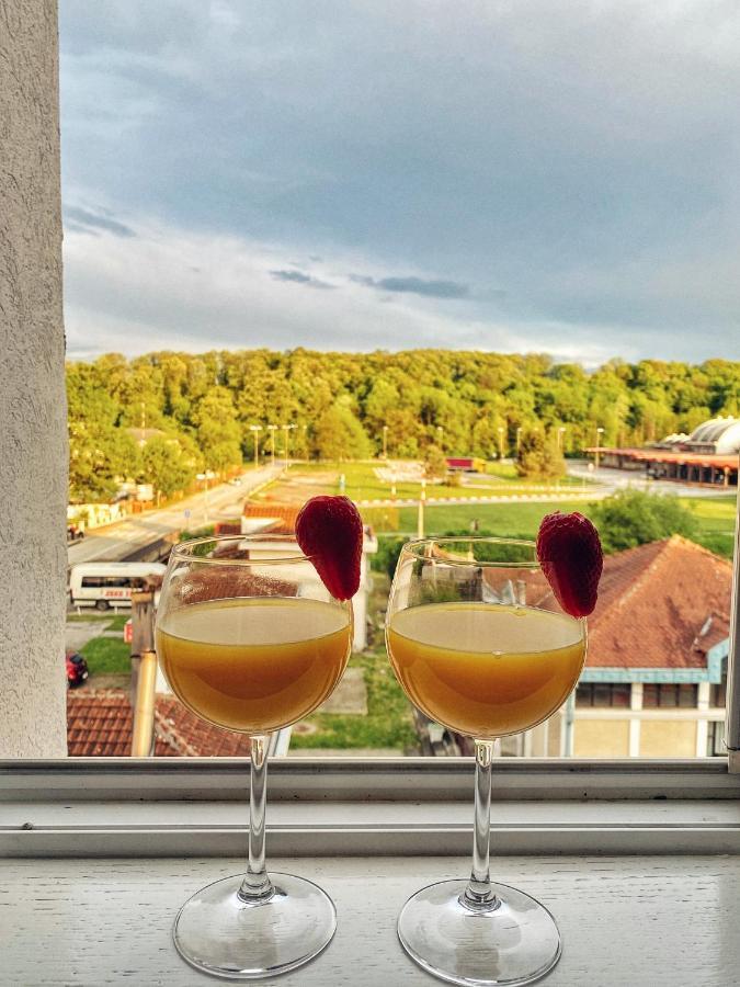 Apartmani Banja Spa Vrnjačka Banja Esterno foto