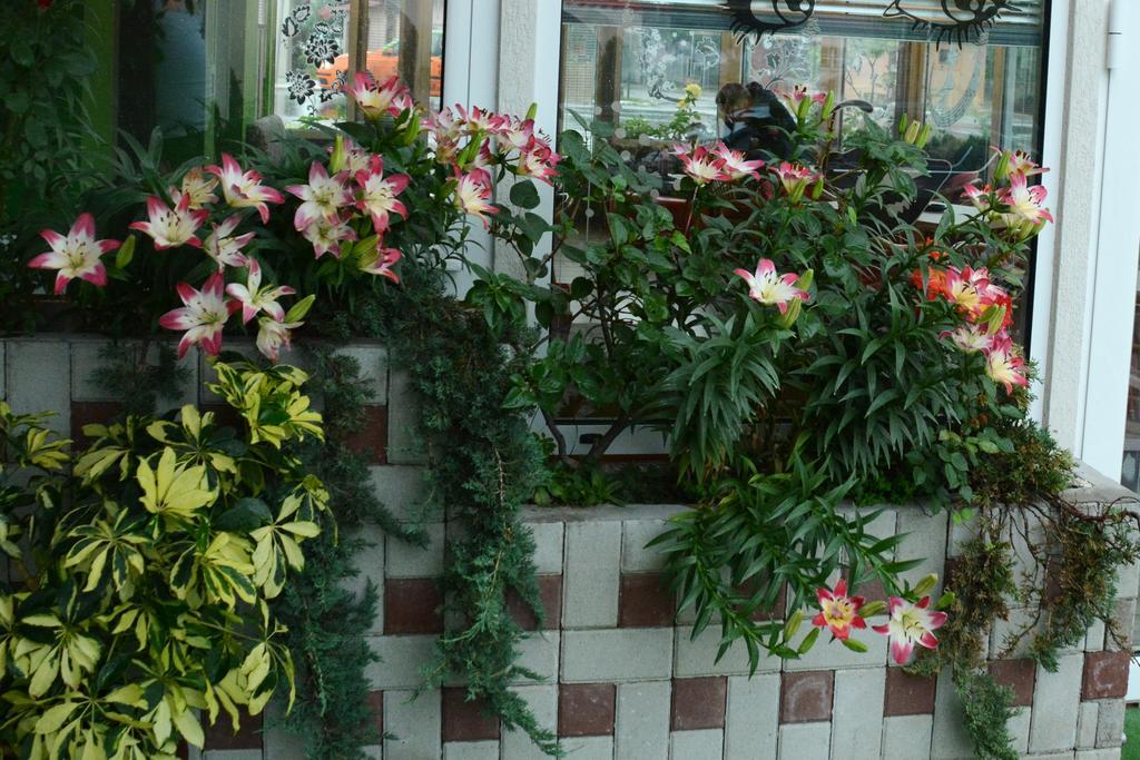 Apartmani Banja Spa Vrnjačka Banja Esterno foto